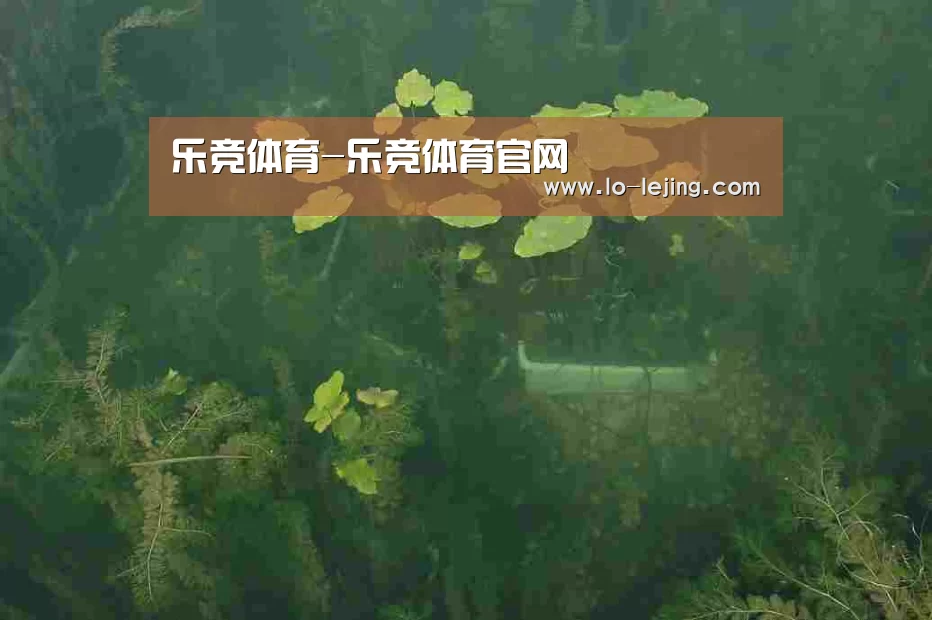 案例展示三(图1)