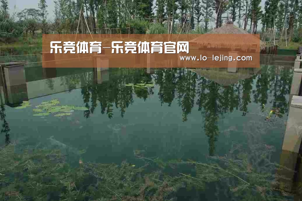 案例展示二