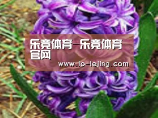 产品名称八