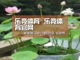 产品名称一
