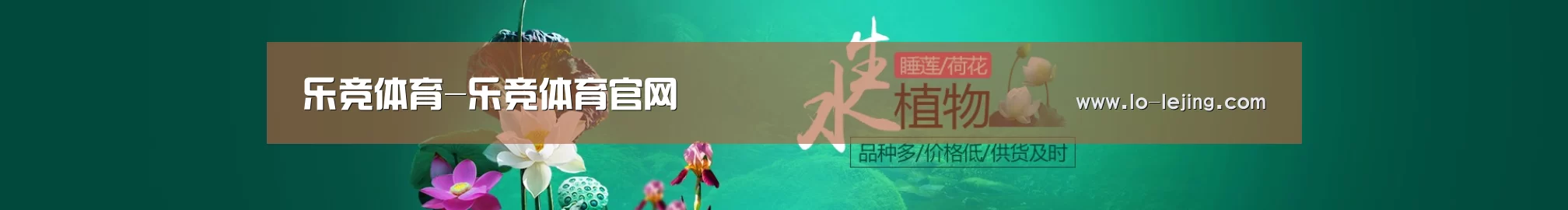 鲜花水草花卉网站模板