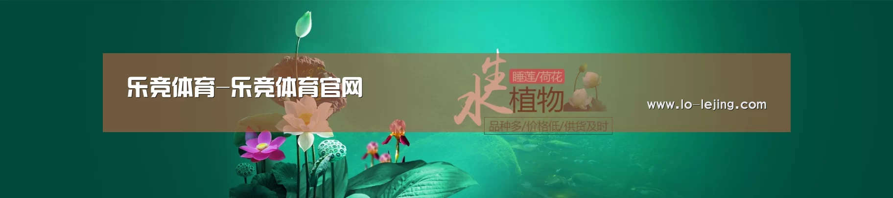 鲜花水草花卉网站模板